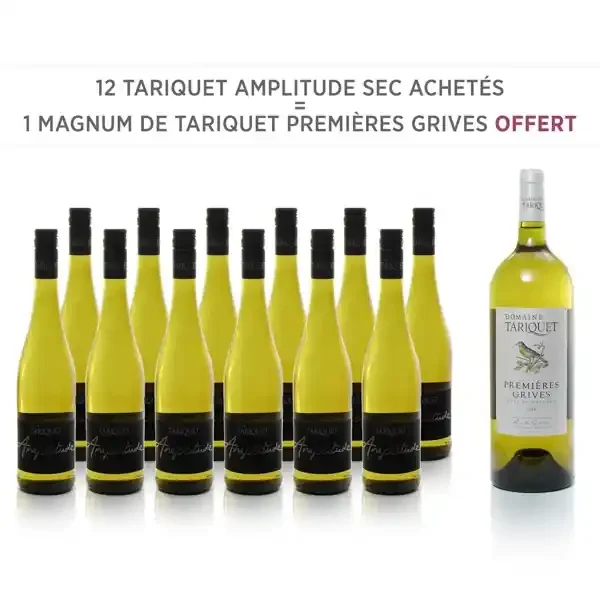 12 Tariquet Amplitude Sec 2017 + 1 Magnum de Tariquet Premières Grives Offert
