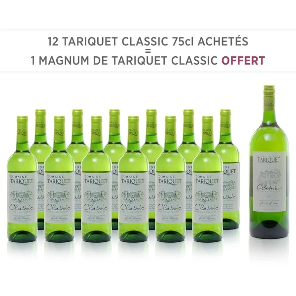 12 Tariquet Classic 75cl + 1 Magnum de Classic Offert