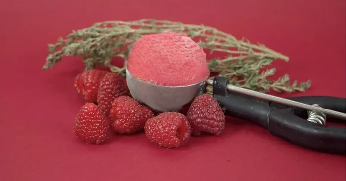 1L – Sorbet Framboise Thym