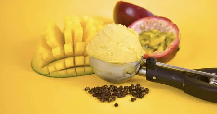 1L – Sorbet Mangue Passion Timut