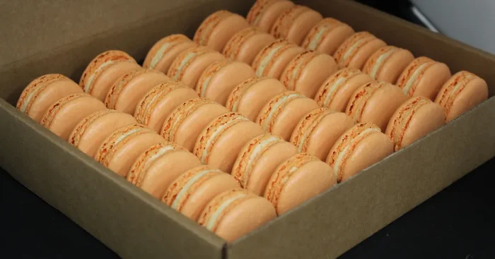35 Macarons Abricot