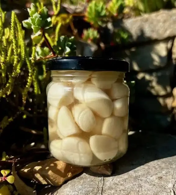 AIL MARINÉ 180gr ( ail confit et vinaigre )