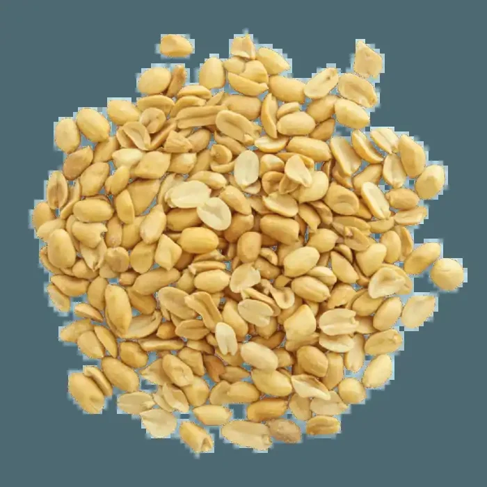 Cacahuètes grillées et salées en vrac 250g Bio