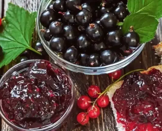 CONFITURE DE CASSIS BIO 720g