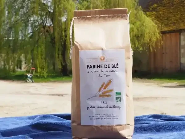 Farine de Blé BIO – Bise T80 12 x 1 kg