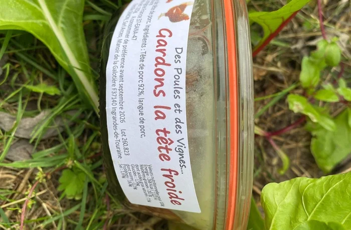 Gardons La Tête Froide