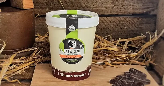 Glace chocolat 480ml HVE