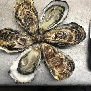 Huîtres de Paimpol N°1 – Bourriche de 100 pièces (8 douzaines)