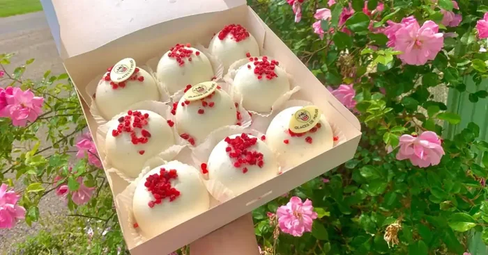 « Les Pépites de Woëcourt » – NOIX DE COCO x 9 dômes