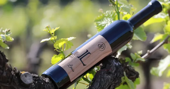 « Louis » Vin Rouge Moelleux – 2020 – 50cl