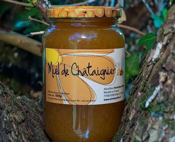 MIEL DE CHATAIGNIER (x1) – 500 Gr