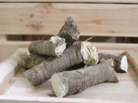 (Offre pro réservé) 25kg racines de raifort