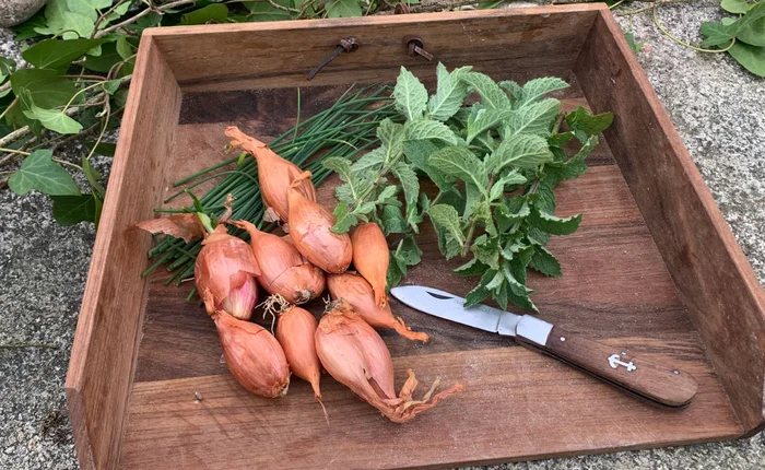 Planche à Tout en Noyer