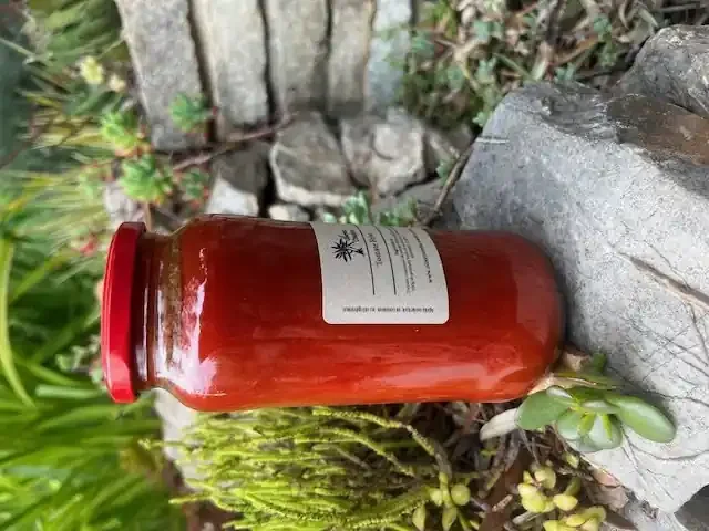 SAUCE TOMATE FRITO 545GR