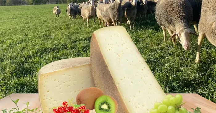 Tomme de brebis 400g