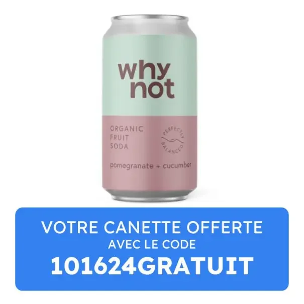 WHY NOT – SODA CRAFT GRENADE CONCOMBRE CANETTE 330ML x1 BIO