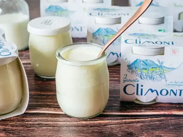 Yaourts Climont Nature, par 12 pots